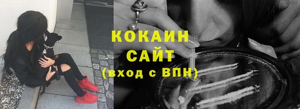 прущие грибы Арсеньев