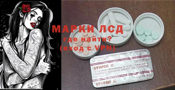 прущие грибы Арсеньев
