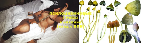 твердый Аркадак