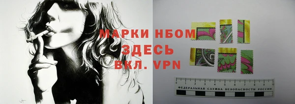твердый Аркадак
