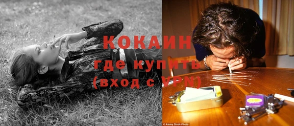 твердый Аркадак